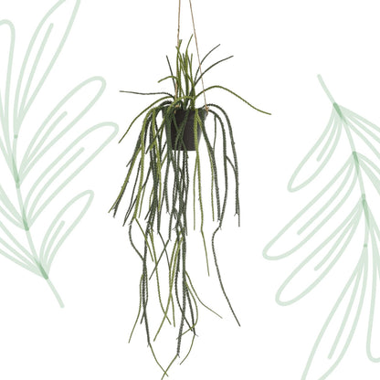Kunstplant - Rhypsalis - Koraalcactus - 85 cm - Forestbloom