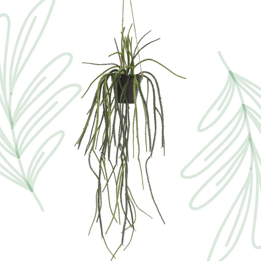 Kunstplant - Rhypsalis - Koraalcactus - 85 cm - Forestbloom