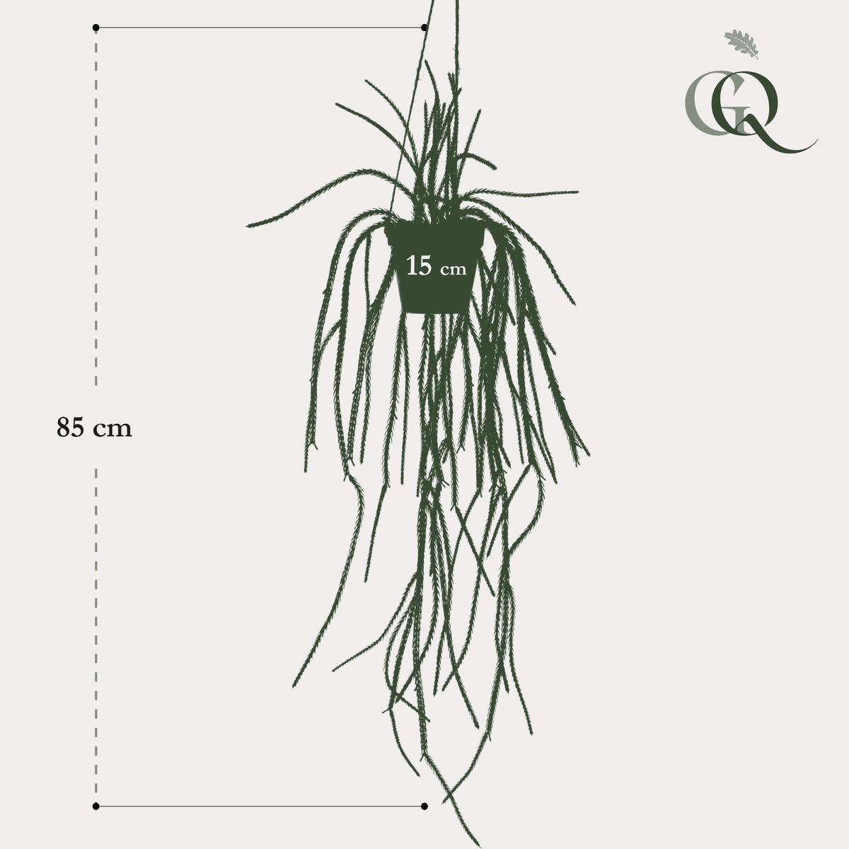 Kunstplant - Rhypsalis - Koraalcactus - 85 cm - Forestbloom