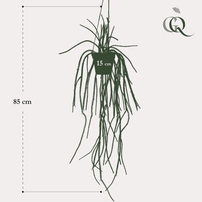 Kunstplant - Rhypsalis - Koraalcactus - 85 cm - Forestbloom