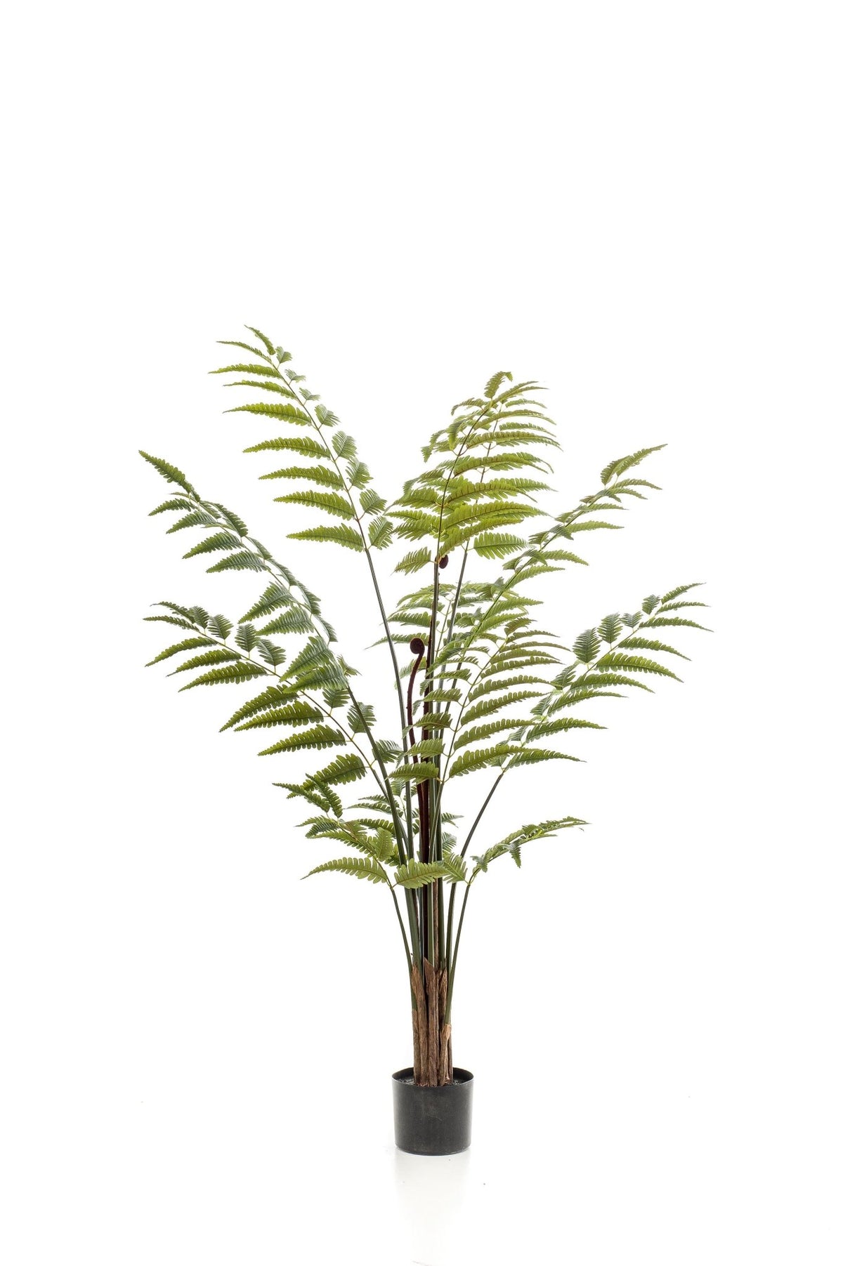 Kunstplant - Rumohra Adiantiformis - Ledervaren - 150 cm - Forestbloom