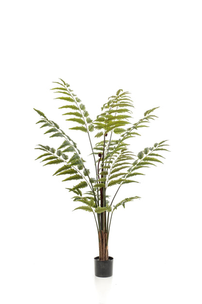 Kunstplant - Rumohra Adiantiformis - Ledervaren - 150 cm - Forestbloom