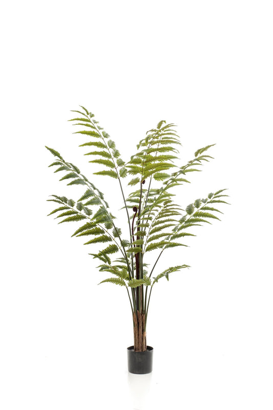 Kunstplant - Rumohra Adiantiformis - Ledervaren - 150 cm - Forestbloom