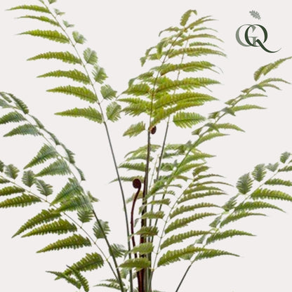 Kunstplant - Rumohra Adiantiformis - Ledervaren - 150 cm - Forestbloom