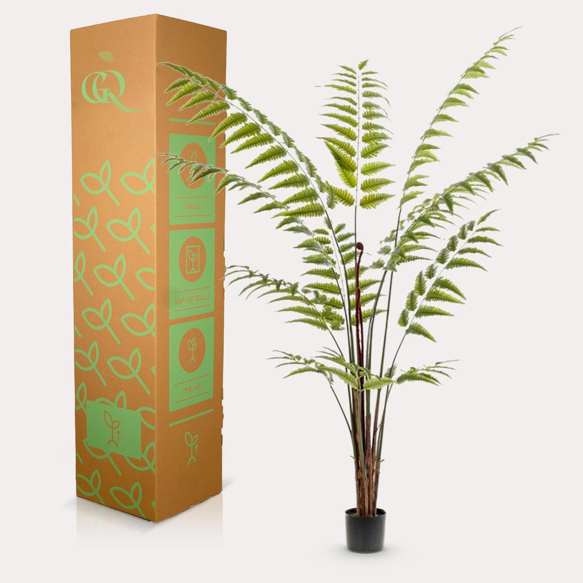 Kunstplant - Rumohra Adiantiformis - Ledervaren - 180 cm - Forestbloom