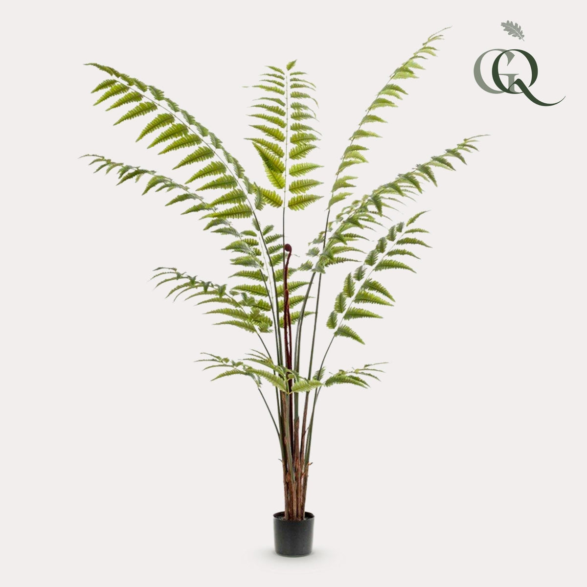 Kunstplant - Rumohra Adiantiformis - Ledervaren - 180 cm - Forestbloom