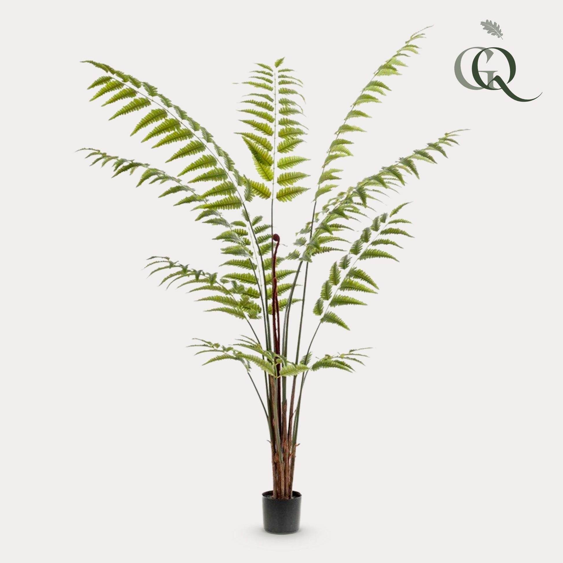 Kunstplant - Rumohra Adiantiformis - Ledervaren - 180 cm - Forestbloom