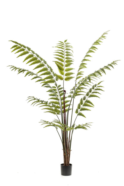 Kunstplant - Rumohra Adiantiformis - Ledervaren - 180 cm - Forestbloom