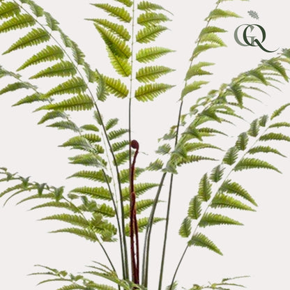 Kunstplant - Rumohra Adiantiformis - Ledervaren - 180 cm - Forestbloom