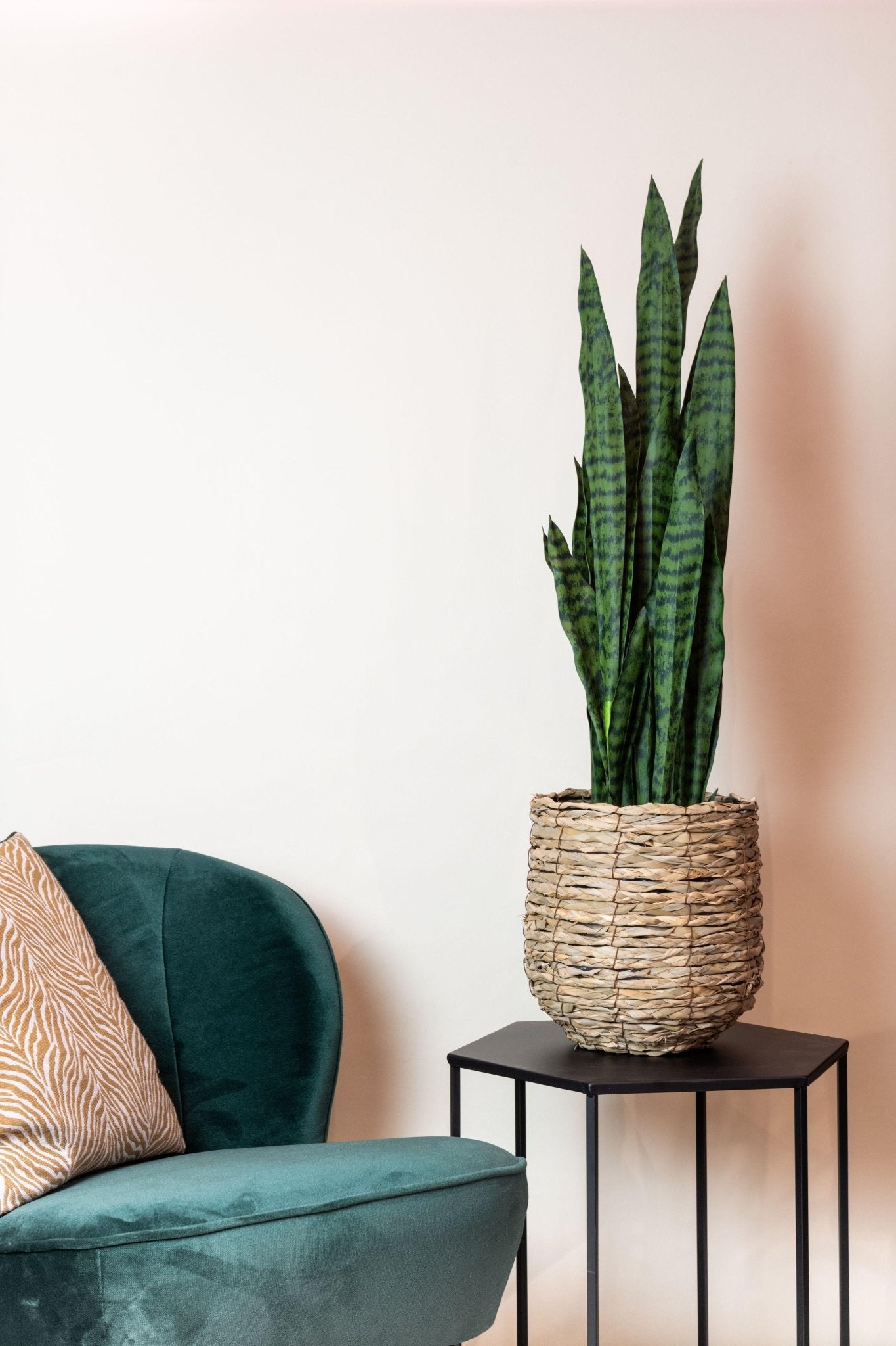 Kunstplant - Sanseveria black coral - Vrouwentong - 97 cm - Forestbloom