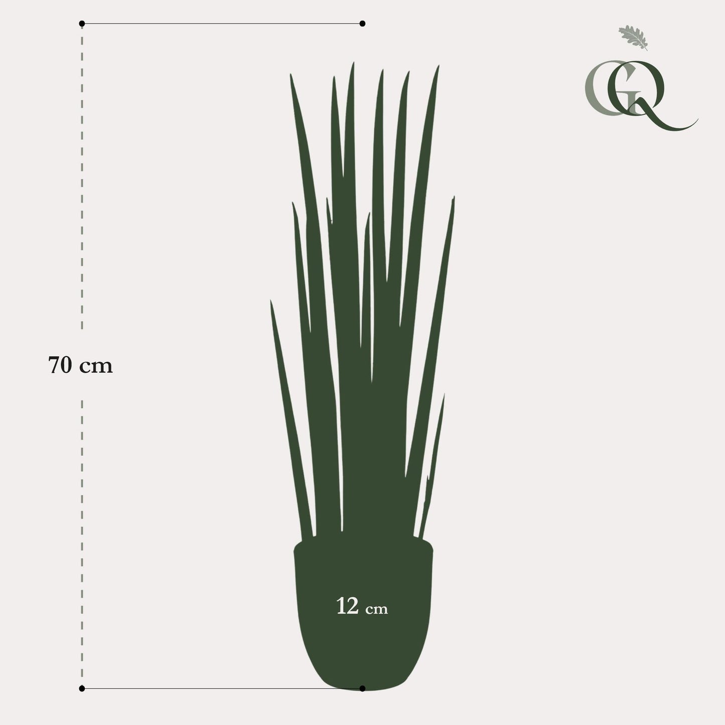 Kunstplant - Sanseveria Cylindrica - Vrouwentong - 70 cm - Forestbloom