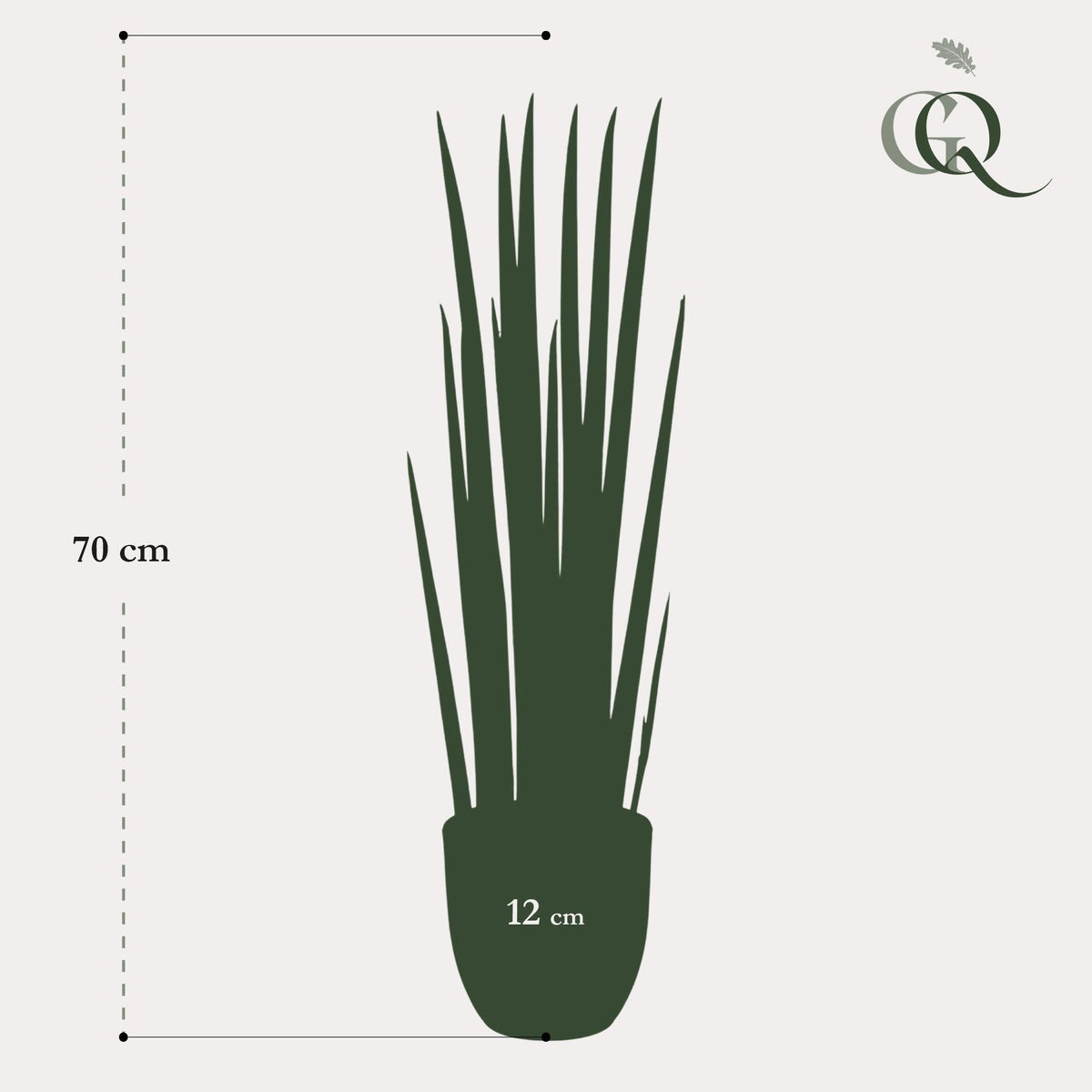 Kunstplant - Sanseveria Cylindrica - Vrouwentong - 70 cm - Forestbloom