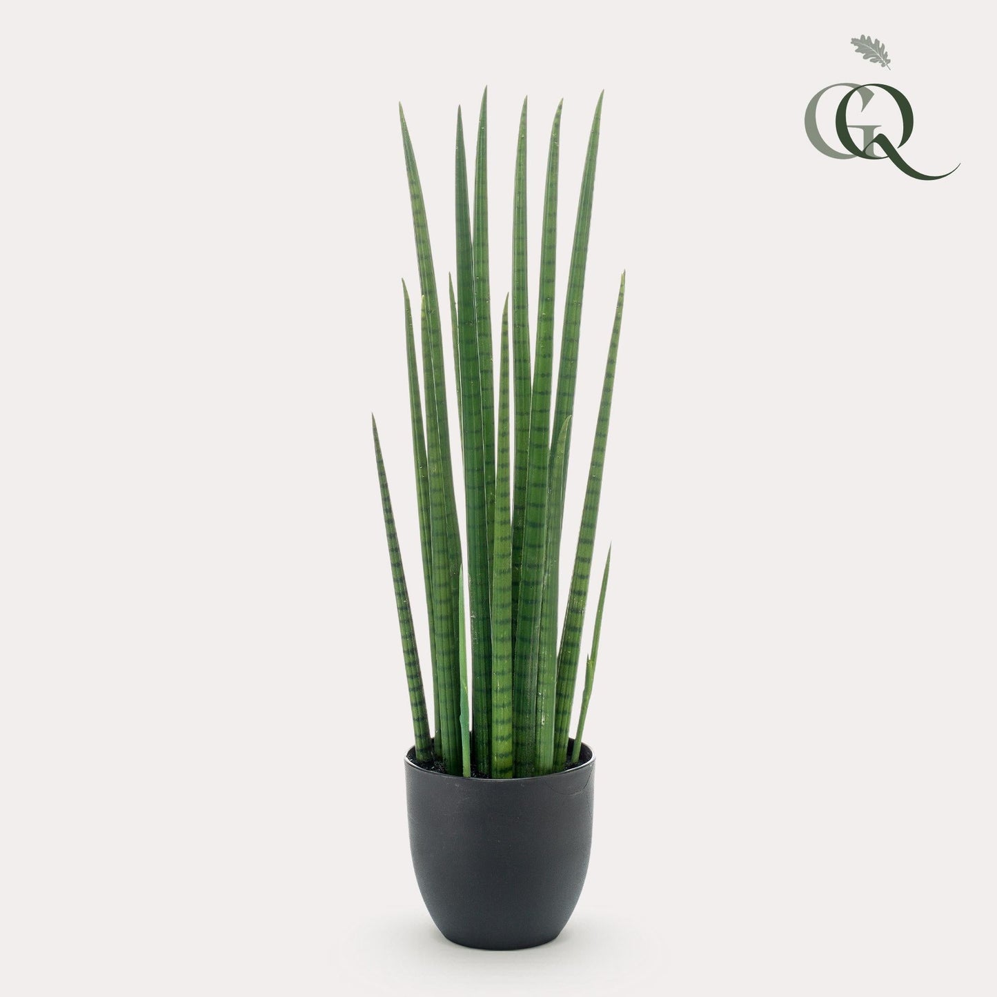 Kunstplant - Sanseveria Cylindrica - Vrouwentong - 70 cm - Forestbloom