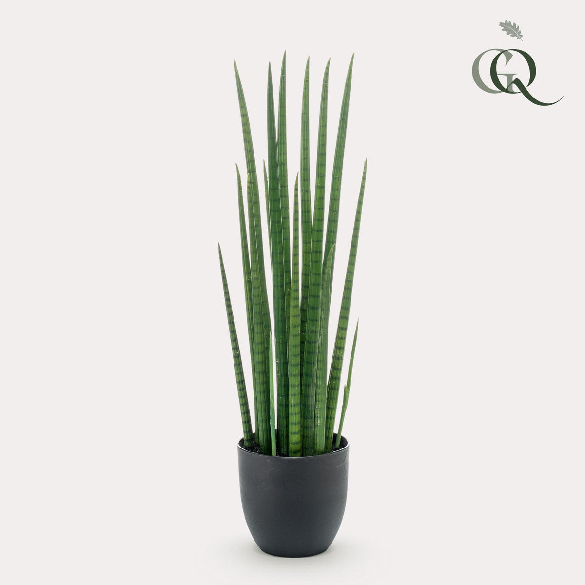 Kunstplant - Sanseveria Cylindrica - Vrouwentong - 70 cm - Forestbloom