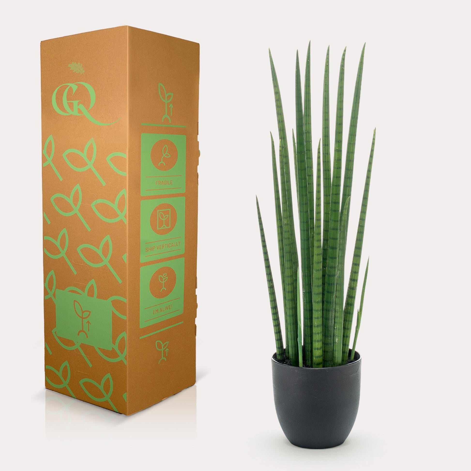 Kunstplant - Sanseveria Cylindrica - Vrouwentong - 70 cm - Forestbloom