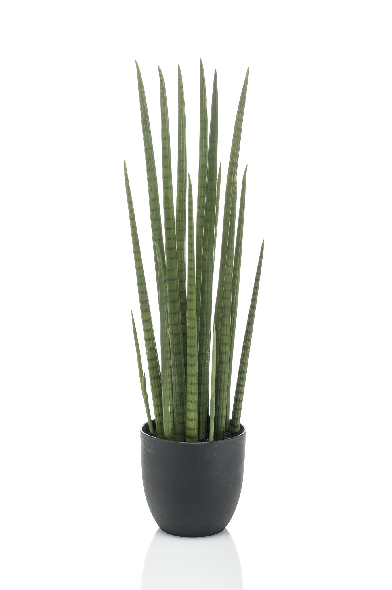 Kunstplant - Sanseveria Cylindrica - Vrouwentong - 70 cm - Forestbloom