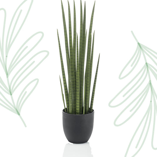 Kunstplant - Sanseveria Cylindrica - Vrouwentong - 70 cm - Forestbloom
