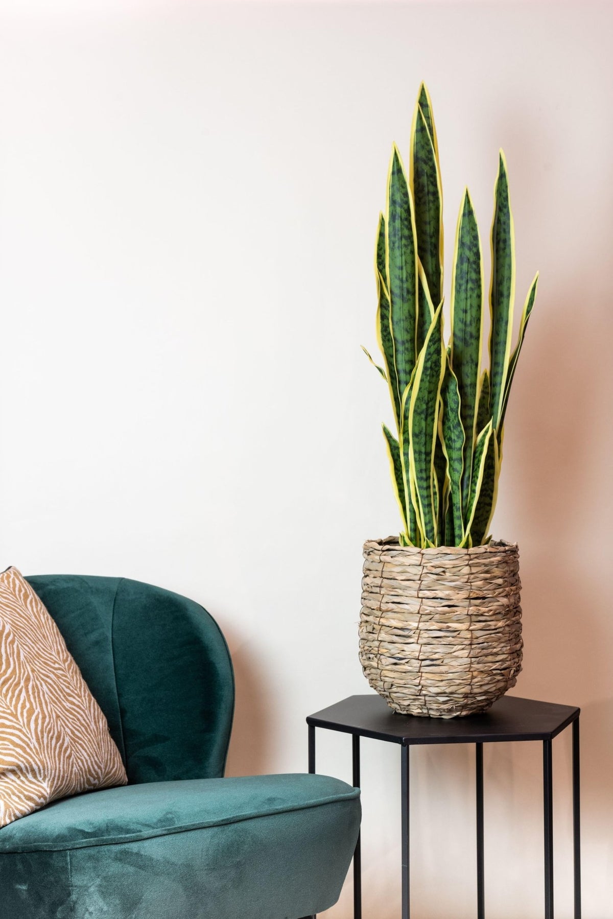 Kunstplant - Sanseveria Trifasciata - Vrouwentong - 97 cm - Forestbloom