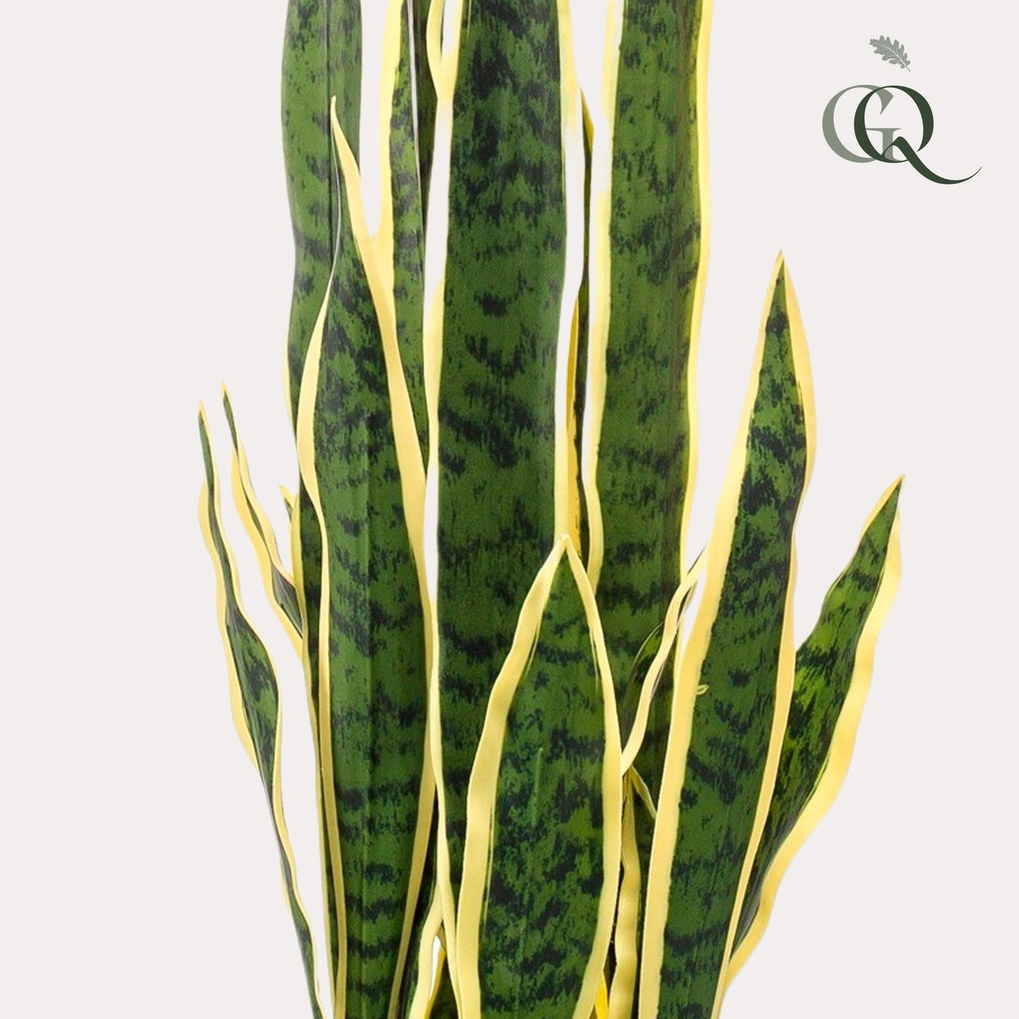 Kunstplant - Sanseveria Trifasciata - Vrouwentong - 97 cm - Forestbloom