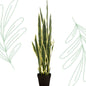 Kunstplant - Sanseveria Trifasciata - Vrouwentong - 97 cm - Forestbloom