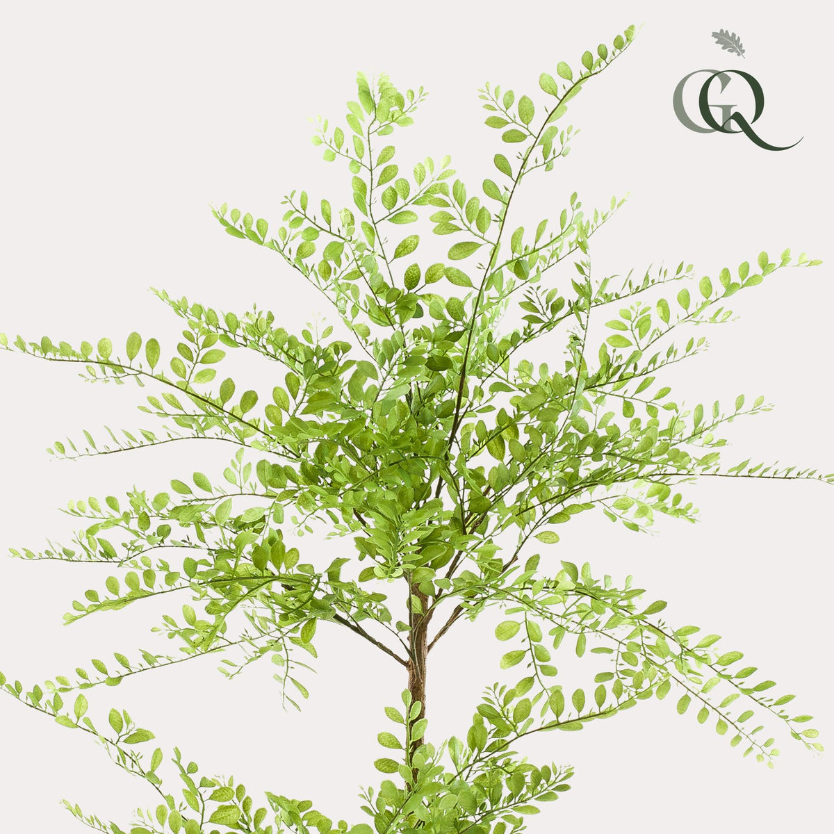 Kunstplant - Sophora tree - Honingboom - 140 cm - Forestbloom