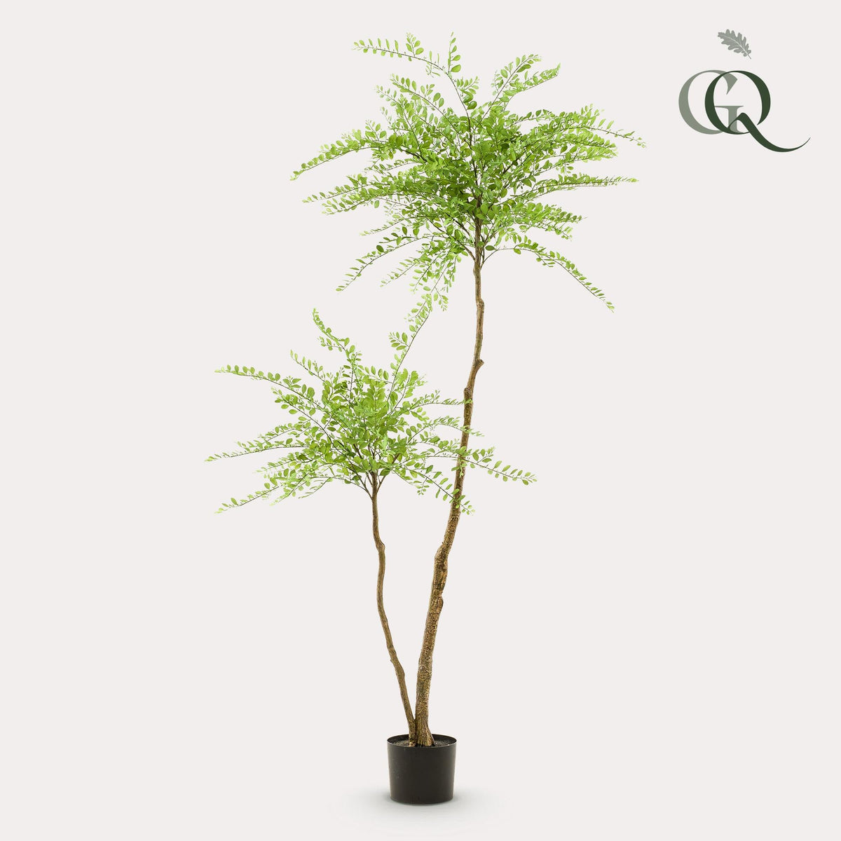 Kunstplant - Sophora tree - Honingboom - 190 cm - Forestbloom