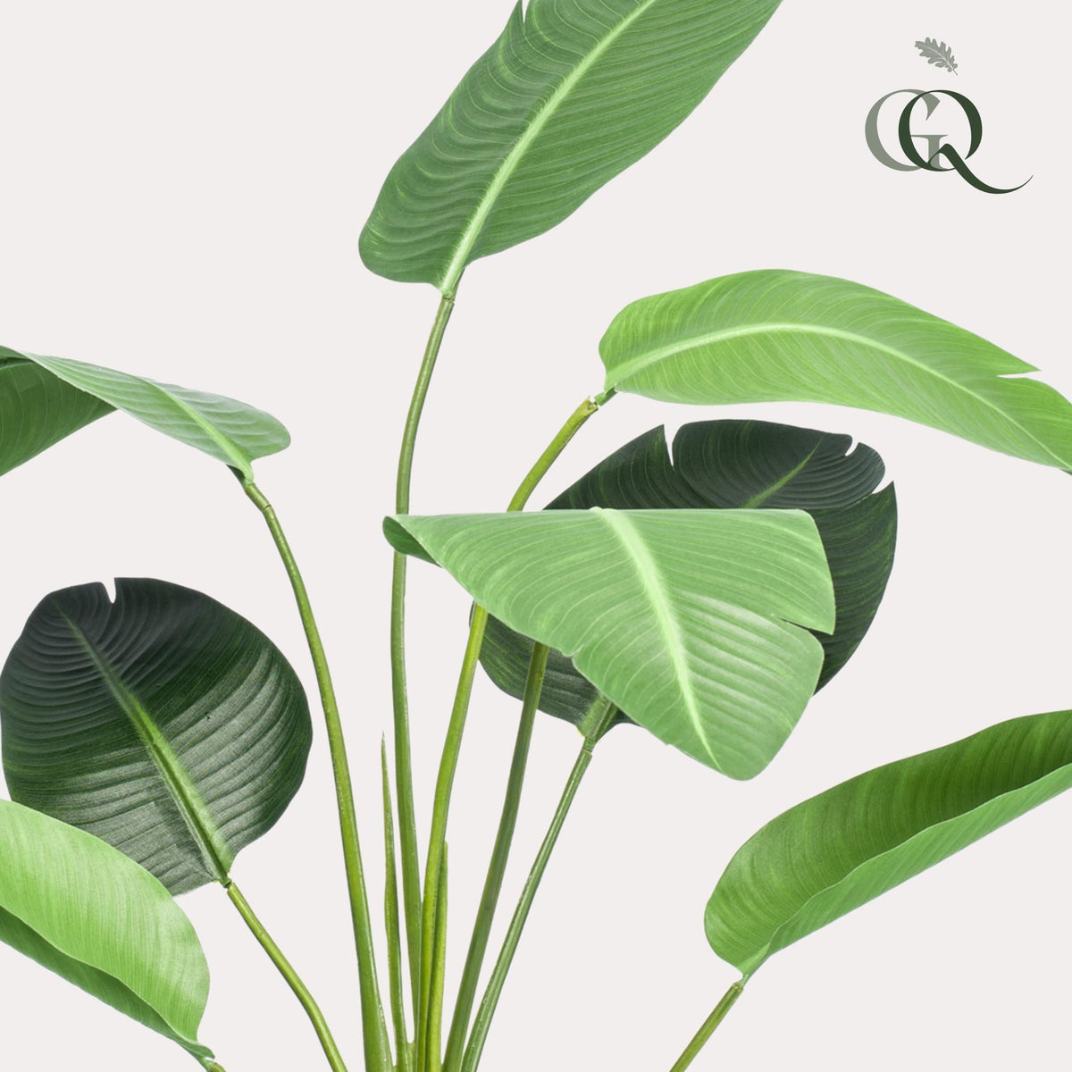 Kunstplant - Strelitzia Nicolai - Paradijsvogelbloem - 120 cm - Forestbloom