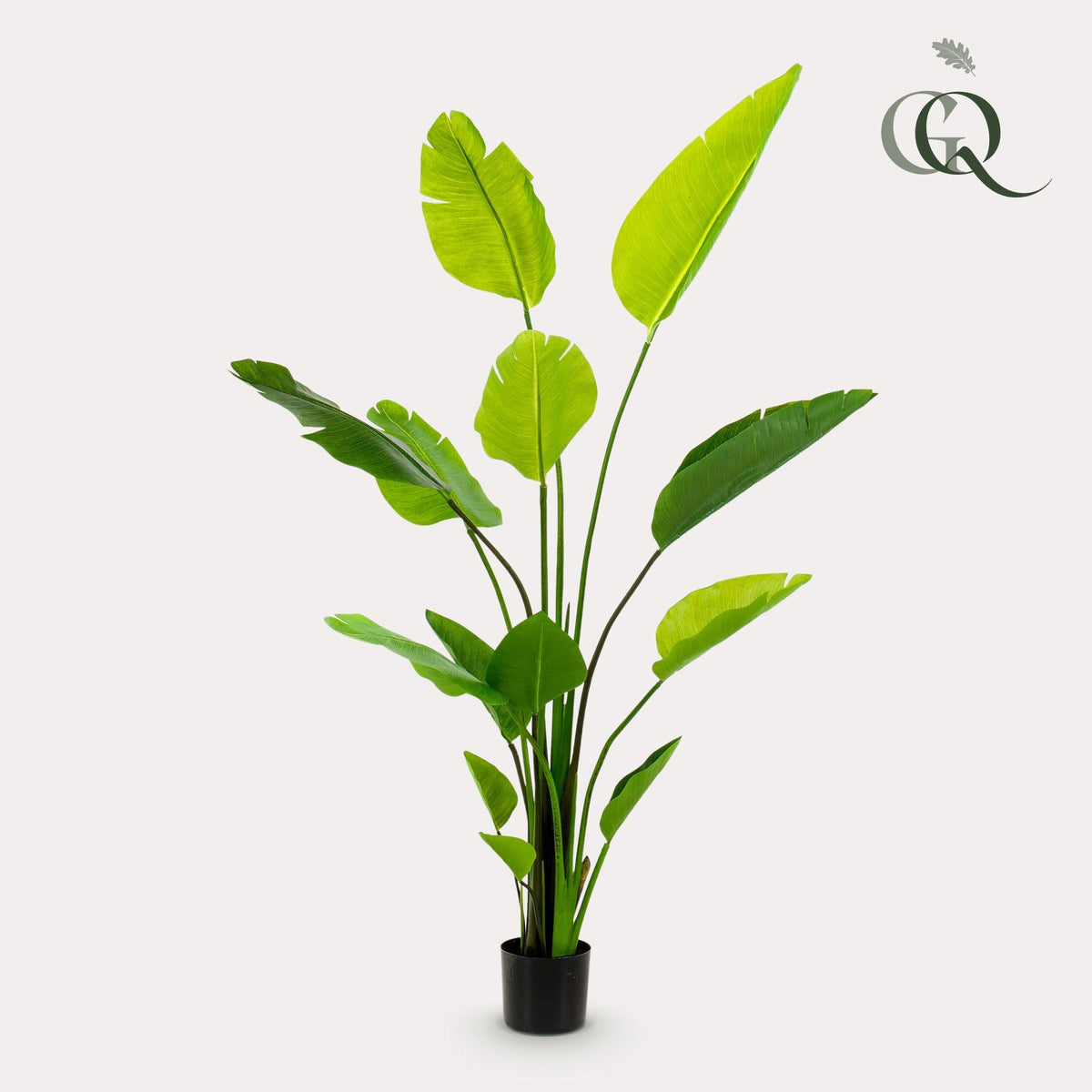 Kunstplant - Strelitzia Nicolai - Paradijsvogelbloem - 150 cm - Forestbloom