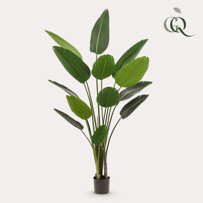 Kunstplant - Strelitzia Nicolai - Paradijsvogelbloem - 190 cm - Forestbloom