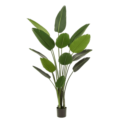 Kunstplant - Strelitzia Nicolai - Paradijsvogelbloem - 190 cm - Forestbloom