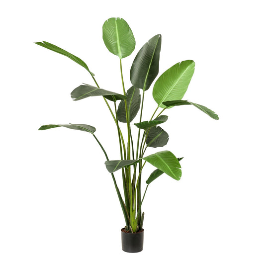 Kunstplant - Strelitzia Nicolai - Paradijsvogelbloem - 230 cm - Forestbloom