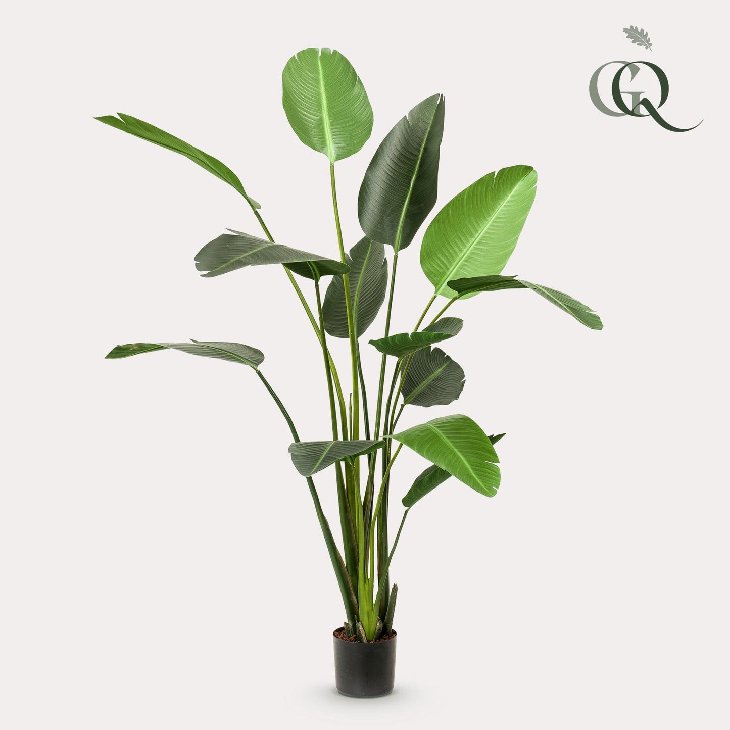 Kunstplant - Strelitzia Nicolai - Paradijsvogelbloem - 230 cm - Forestbloom