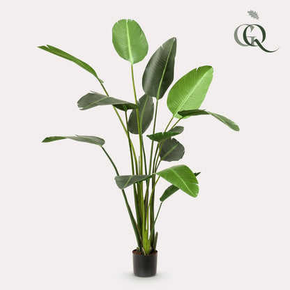 Kunstplant - Strelitzia Nicolai - Paradijsvogelbloem - 230 cm - Forestbloom