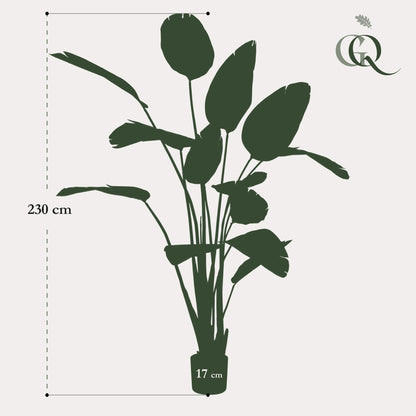 Kunstplant - Strelitzia Nicolai - Paradijsvogelbloem - 230 cm - Forestbloom