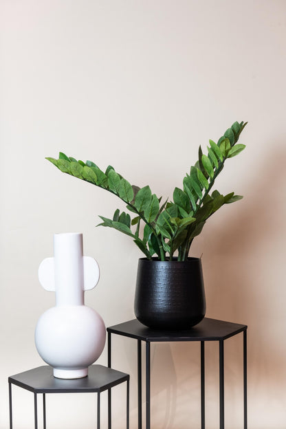 Kunstplant - Zamioculcas - Kamerpalm - 110 cm - Forestbloom