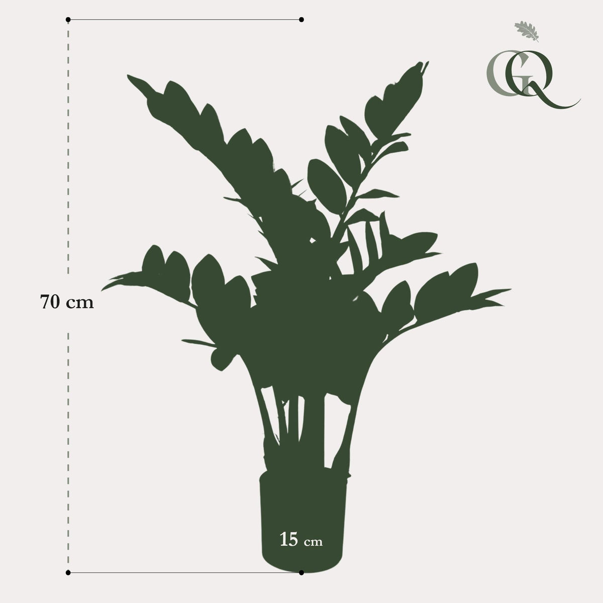 Kunstplant - Zamioculcas - Kamerpalm - 110 cm - Forestbloom