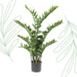 Kunstplant - Zamioculcas - Kamerpalm - 110 cm - Forestbloom