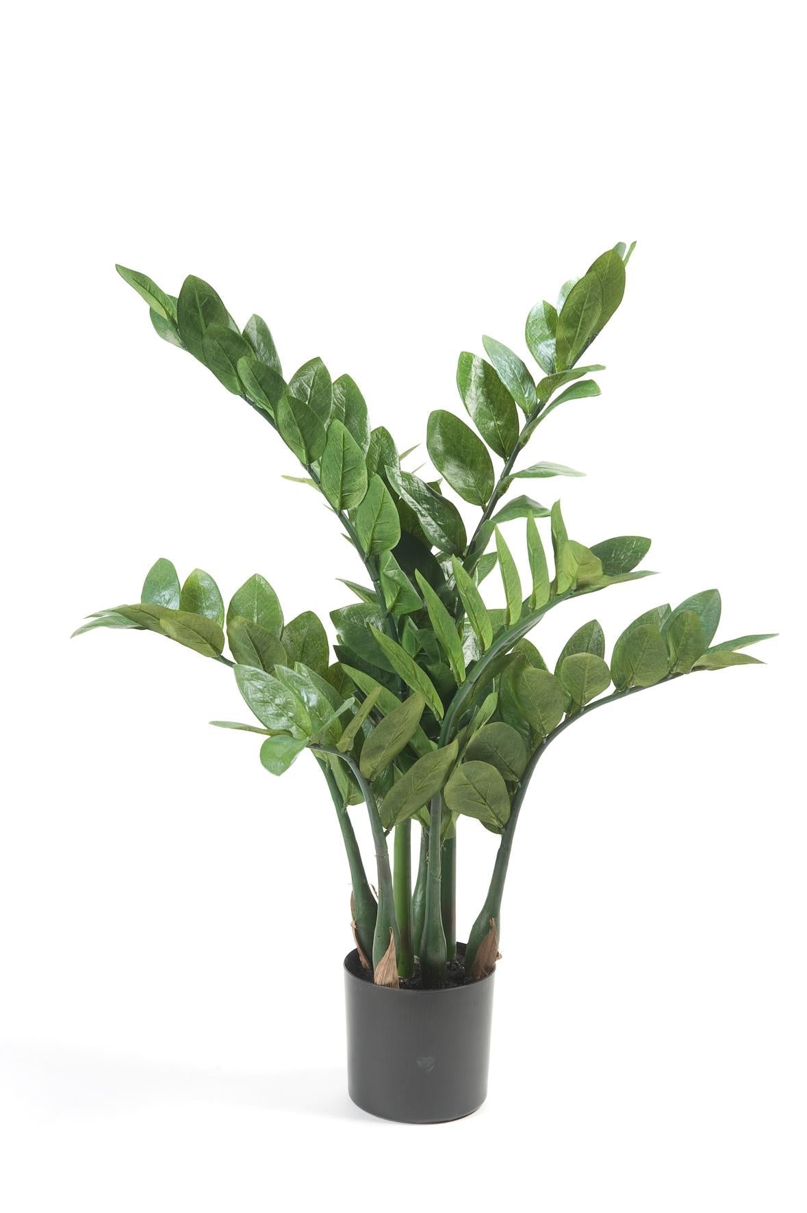 Kunstplant - Zamioculcas - Kamerpalm - 110 cm - Forestbloom