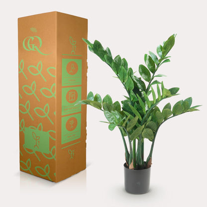 Kunstplant - Zamioculcas - Kamerpalm - 70 cm - Forestbloom