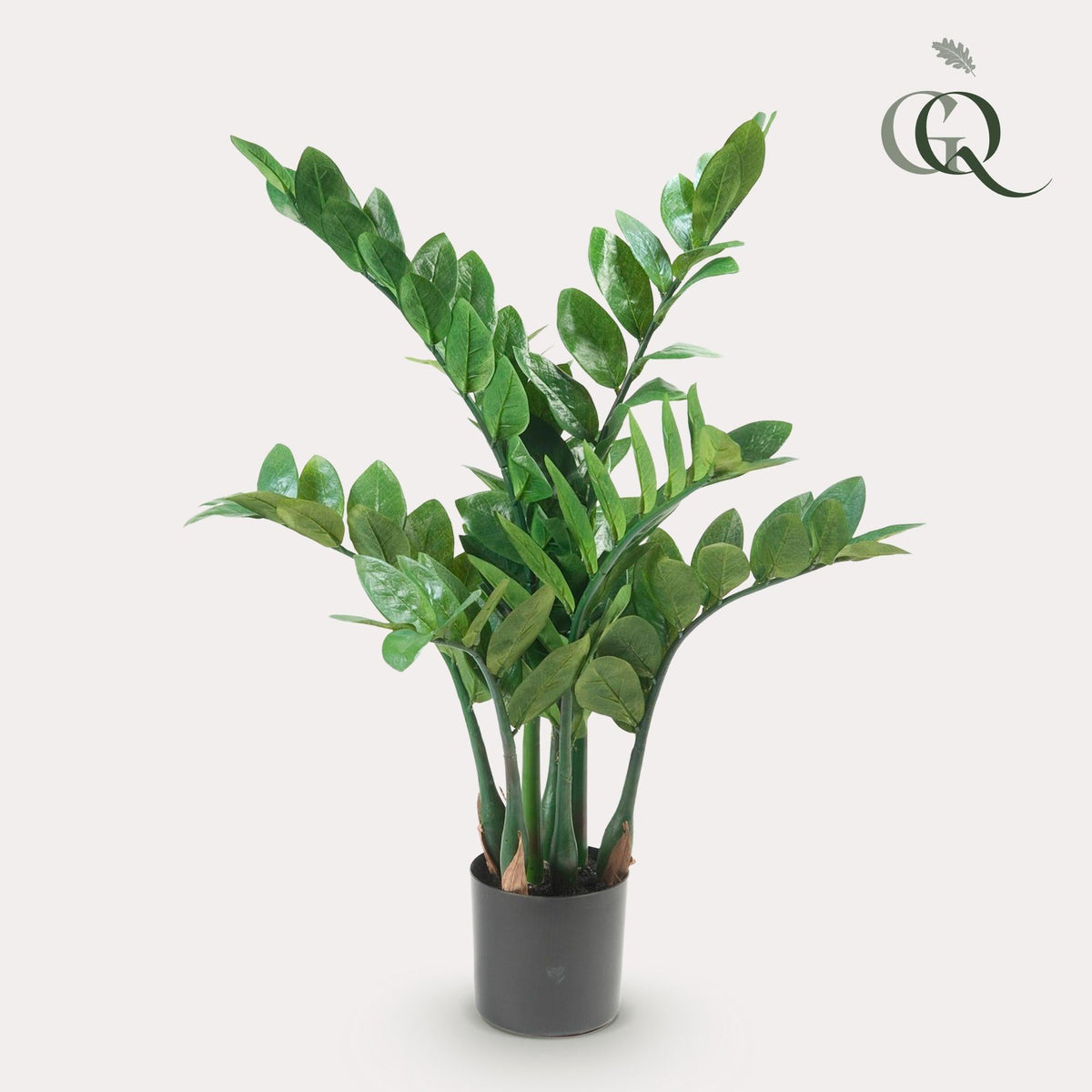 Kunstplant - Zamioculcas - Kamerpalm - 70 cm - Forestbloom