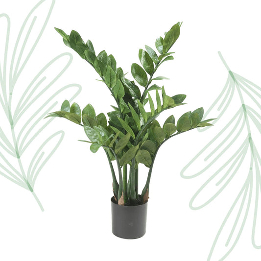 Kunstplant - Zamioculcas - Kamerpalm - 70 cm - Forestbloom