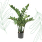 Kunstplant - Zamioculcas - Kamerpalm - 70 cm - Forestbloom