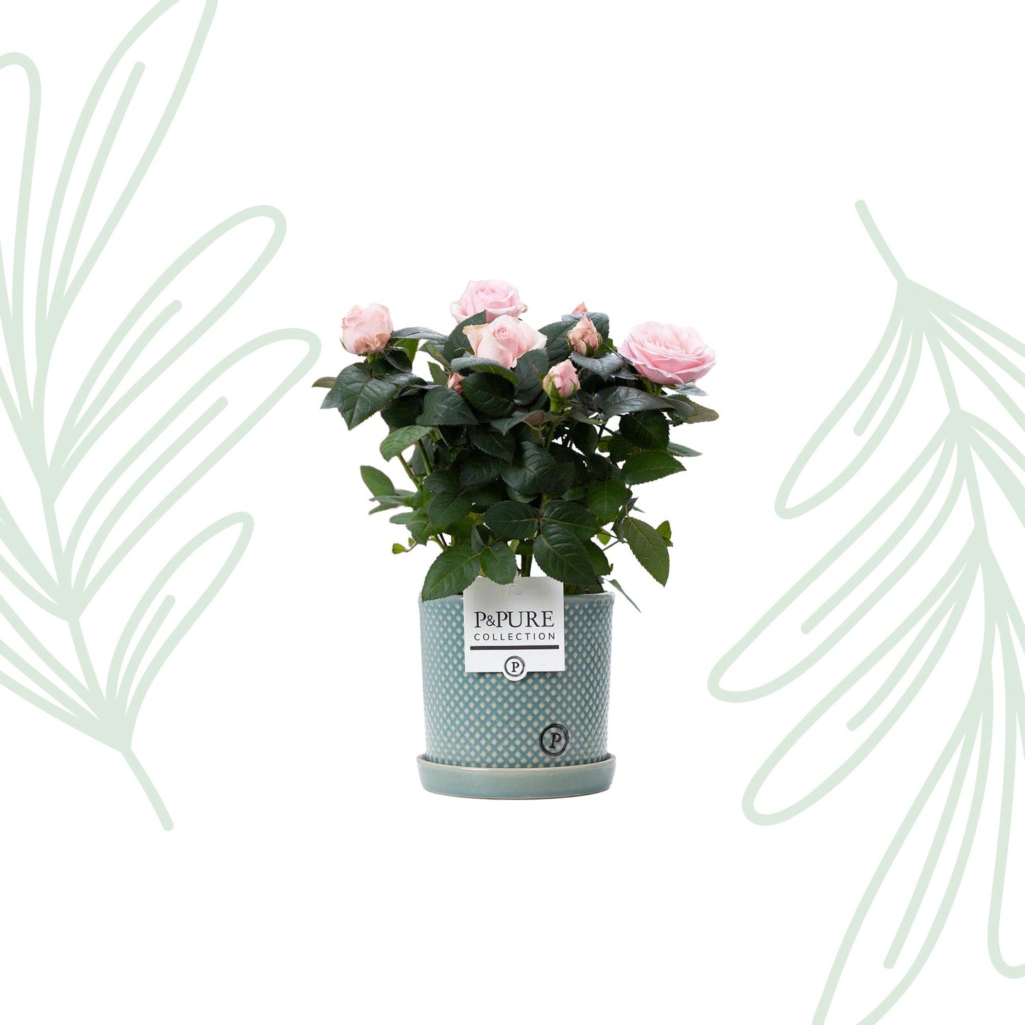 Lichtroze rozen in P&PURE Lauren pot - Forestbloom