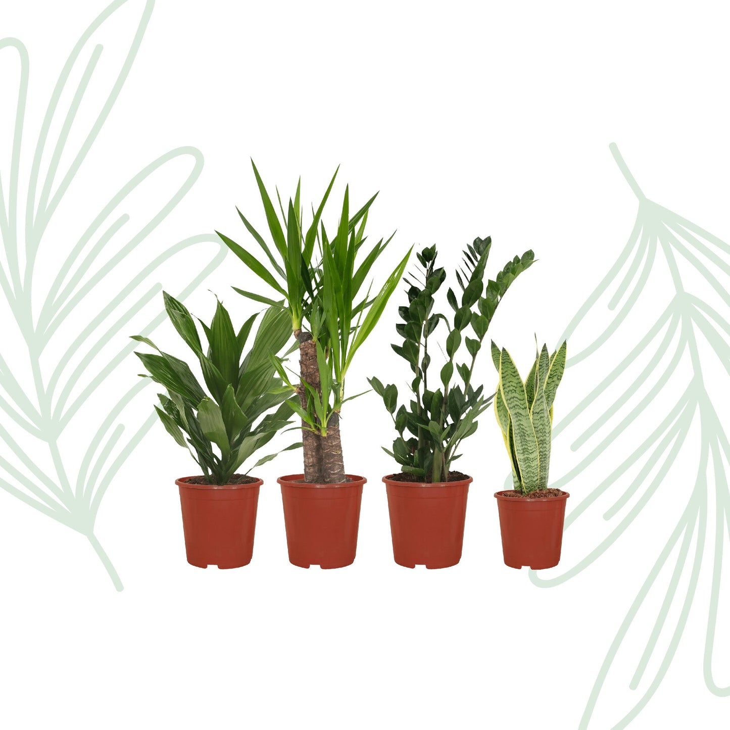 Makkelijke plantenbox set van 4 - Forestbloom