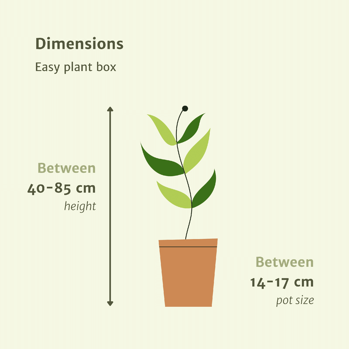 Makkelijke plantenbox set van 4 - Forestbloom