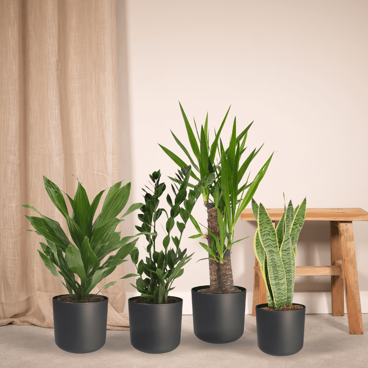 Makkelijke plantenbox set van 4 - Forestbloom