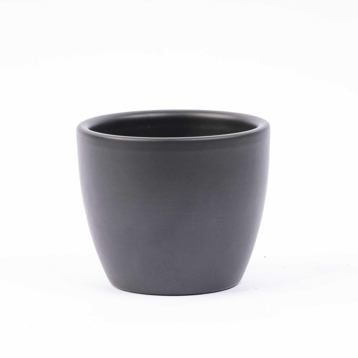 Mini planten set van 6 met pot set Boule Antraciet - Forestbloom