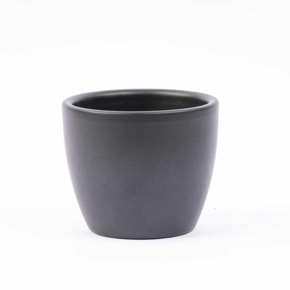 Mini planten set van 6 met pot set Boule Antraciet - Forestbloom