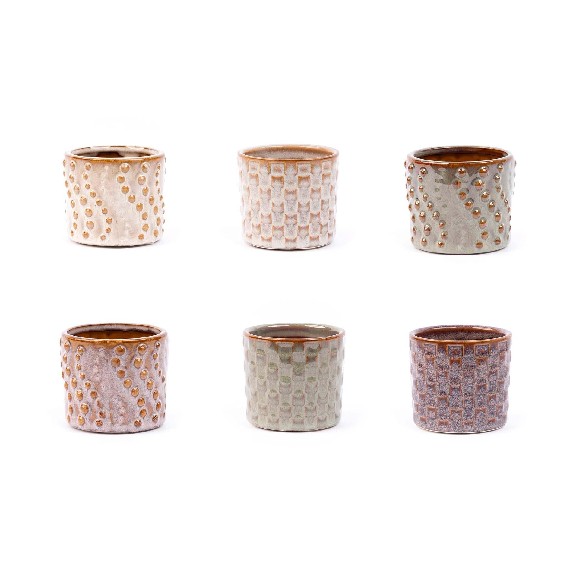 Mini planten set van 6 met pot set Madrid - Forestbloom