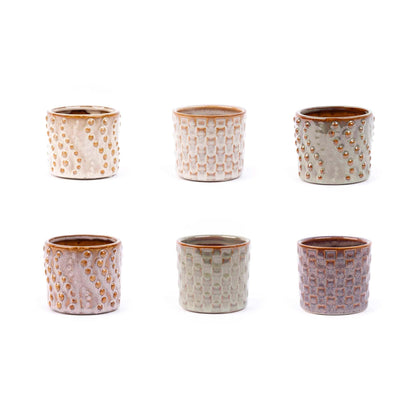 Mini planten set van 6 met pot set Madrid - Forestbloom